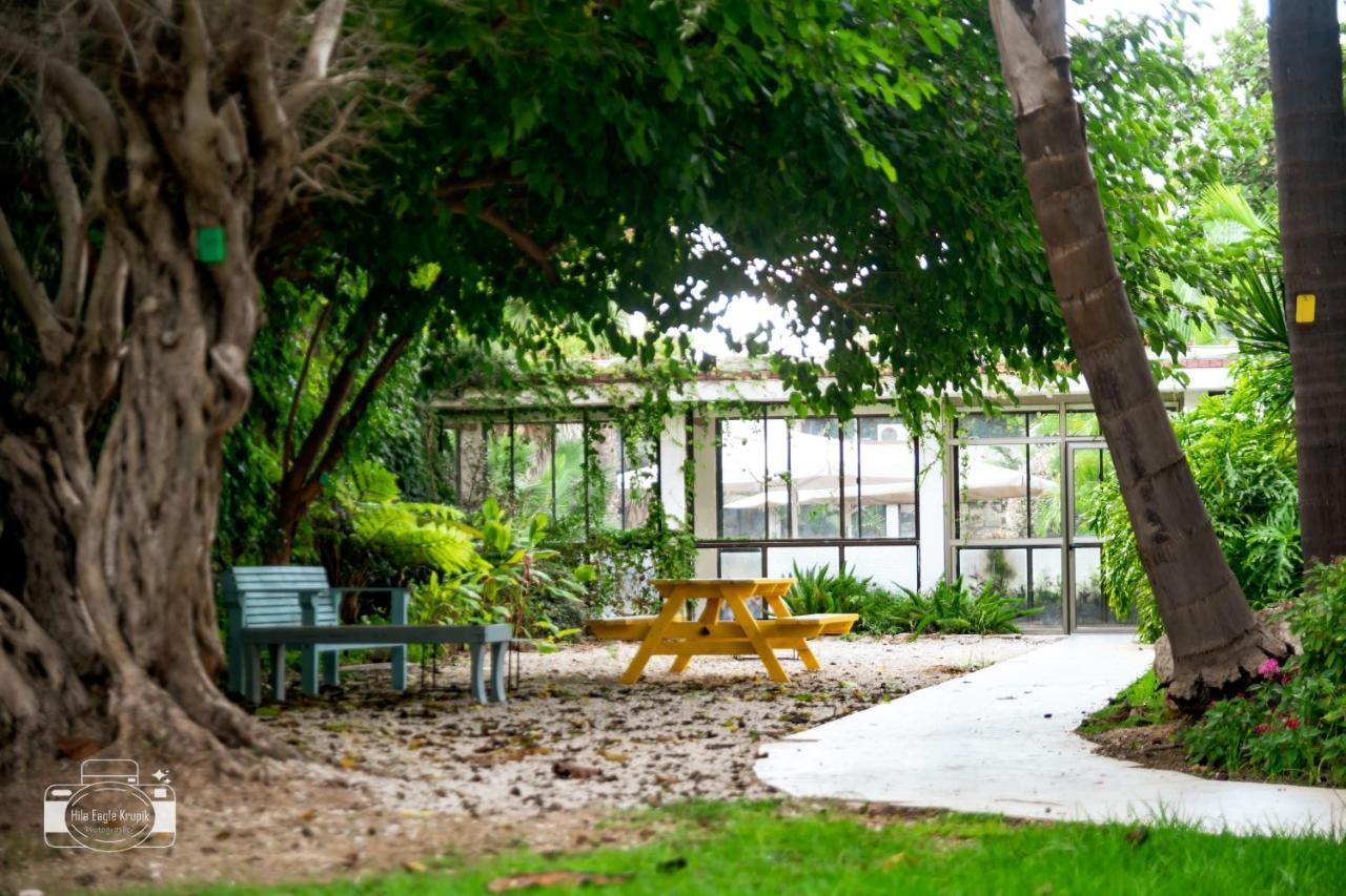 Eden Inn Zikhron Ya'akov Εξωτερικό φωτογραφία